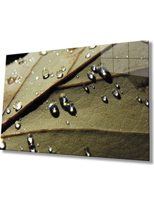 Miraax Su Damlaları Yaprak Cam Tablo