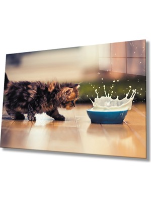 Miraax Kedi Cam Tablo