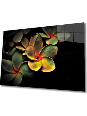 Miraax Çiçek Cam Tablo