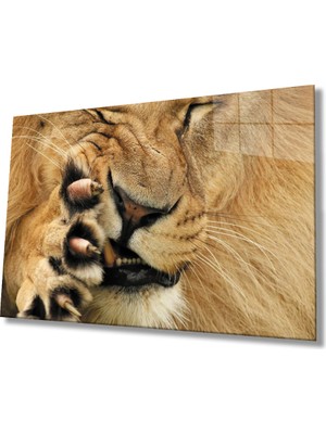 Miraax Aslan Cam Tablo