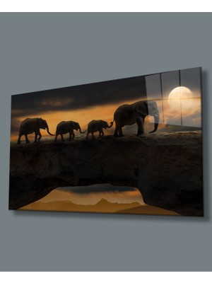 Miraax Filler Cam Tablo