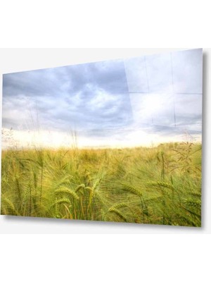 Miraax Doğa Cam Tablo