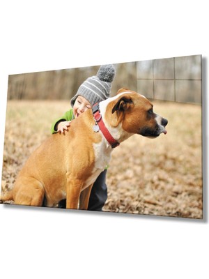 Miraax Köpek ve Çocuk Cam Tablo