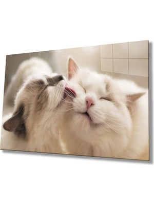 Miraax Kedi Cam Tablo