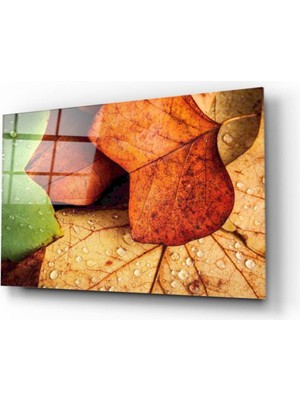 Miraax Yapraklar Cam Tablo