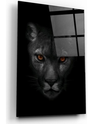 Miraax Jaguar Cam Tablo