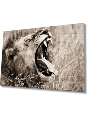 Miraax Aslan Cam Tablo