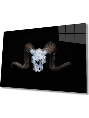 Miraax Boynuz Cam Tablo