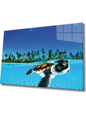 Miraax Deniz Kaplumbağası Cam Tablo Sea Turtle