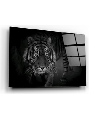 Miraax Kaplan Cam Tablo