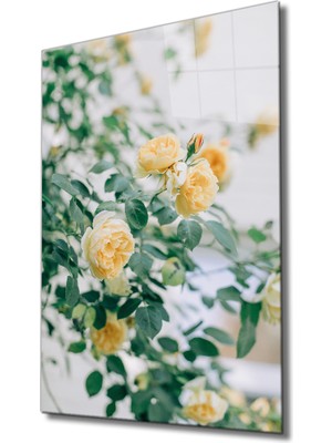 Miraax Sarı Gül Cam Tablo Yellow Flower