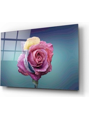 Miraax Gül Cam Tablo