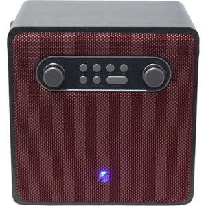 BRADU-1688 Bluetooth Taşınabilir Hoparlör 4 Inc Ahşap Kasa Kablosuz Karaoke Mikrofon
