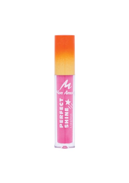 Perfect Shine Lipgloss