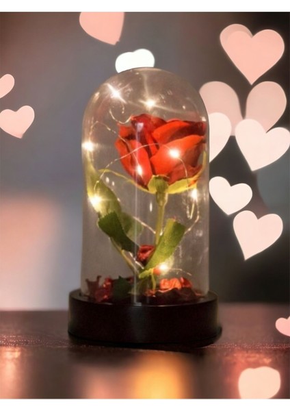 Fanusta LED Işıklı Kırmızı Yapay Gül Sevgiliye Özel Dekoratif Hediye Sevgililer Günü fırsatları