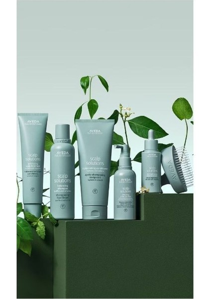 Scalp Solutions Exfoliating Scalp Treatment - Saç Derisi Arındırıcı Ferahlatıcı Şampuan 200ML fırsatları