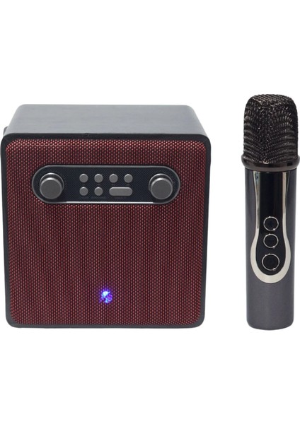 BRADU-1688 Bluetooth Taşınabilir Hoparlör 4 Inc Ahşap Kasa Kablosuz Karaoke Mikrofon modelleri