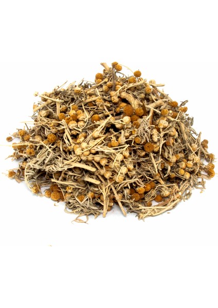 Pelin Otu Artemisia Absinthium 100GR
