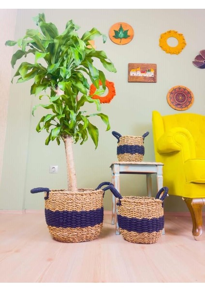 Düzenleyici Kulplu Siyah Şeritli Doğal Örgü Sepet Üçlü Set fırsatları