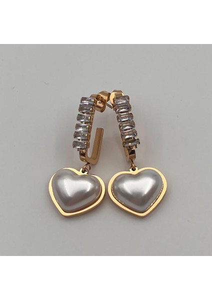 316L Paslanmaz Çelik Kalp Figürlü Kadın Küpe