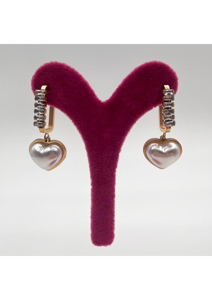 316L Paslanmaz Çelik Kalp Figürlü Kadın Küpe fiyatları