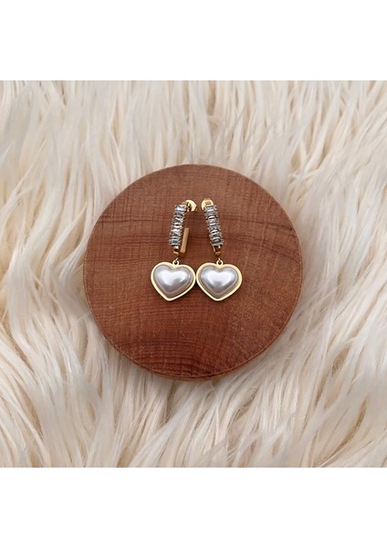 316L Paslanmaz Çelik Kalp Figürlü Kadın Küpe modelleri