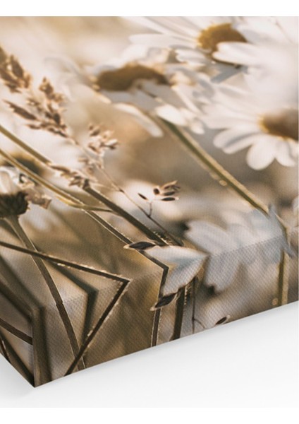 Dekoratif Kanvas Duvar Tablosu fiyatları