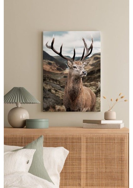 Dekoratif Kanvas Duvar Tablosu