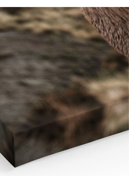 Dekoratif Kanvas Duvar Tablosu fiyatları