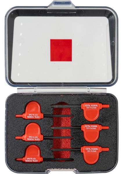 F37-P06 Plas. Saplı Torx Bayrak Tornavida Seti 6 Parça