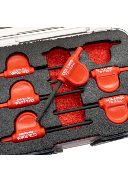 F37-P06 Plas. Saplı Torx Bayrak Tornavida Seti 6 Parça