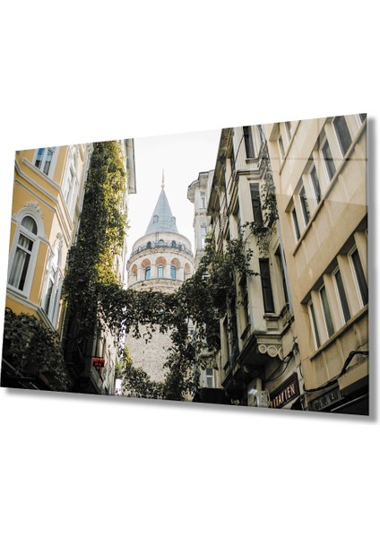 Istanbul Sarmaşıklı Sokak ve Galata Manzaralı Cam Tablo