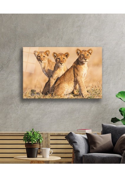 Aslan Cam Tablo