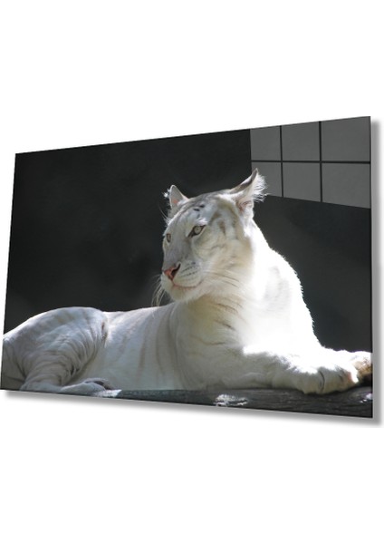 Aslan Cam Tablo