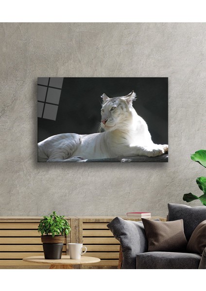 Aslan Cam Tablo