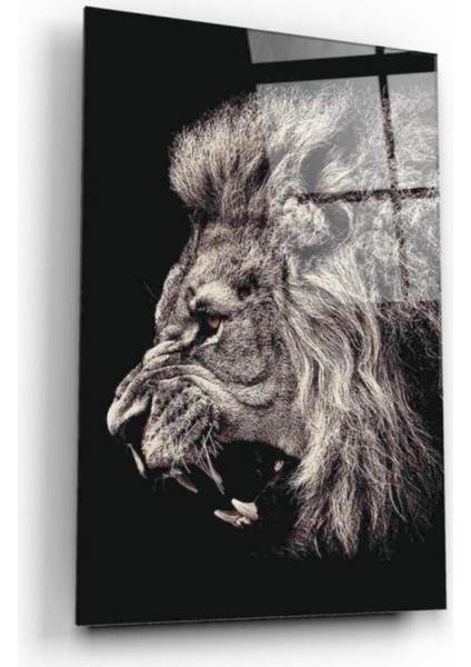 Aslan Cam Tablo