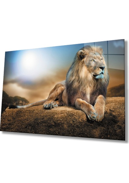 Aslan Cam Tablo