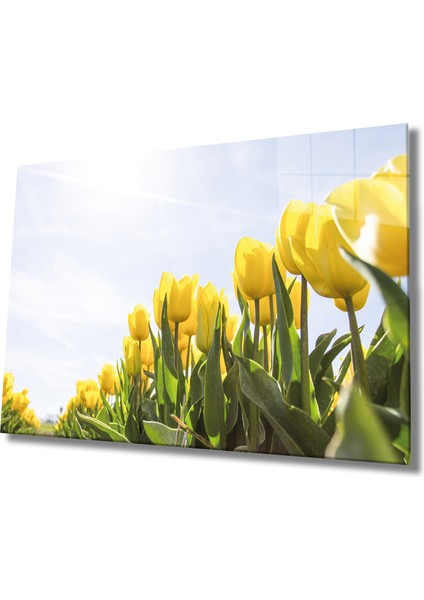 Sarı Lale Cam Tablo Yellow Flowers