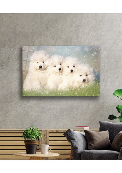 Beyaz Köpekler Cam Tablo fiyatları