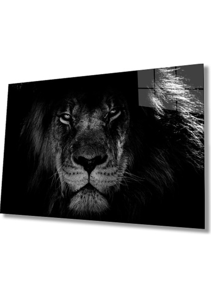 Aslan Hayvan Cam Tablo