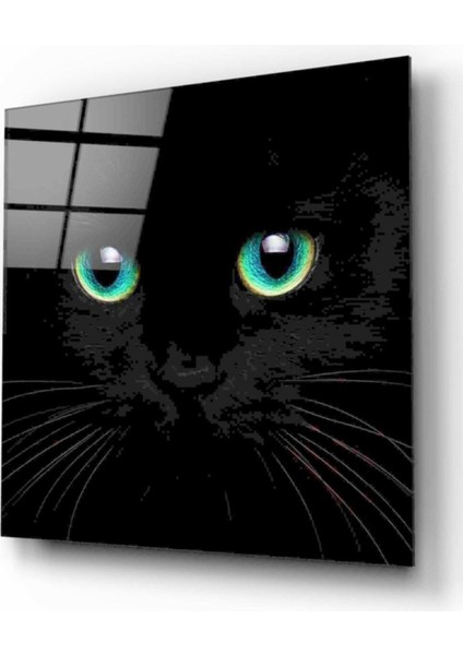 Kedi Cam Tablo