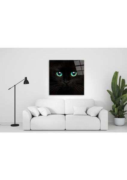 Kedi Cam Tablo modelleri