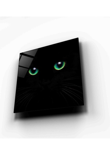 Kedi Cam Tablo fırsatları