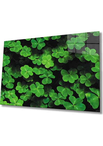 Yeşil Yonca Green Clover