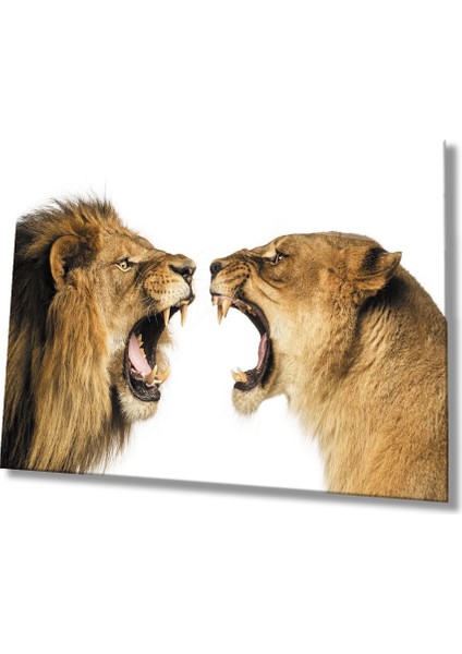 Aslan Cam Tablo