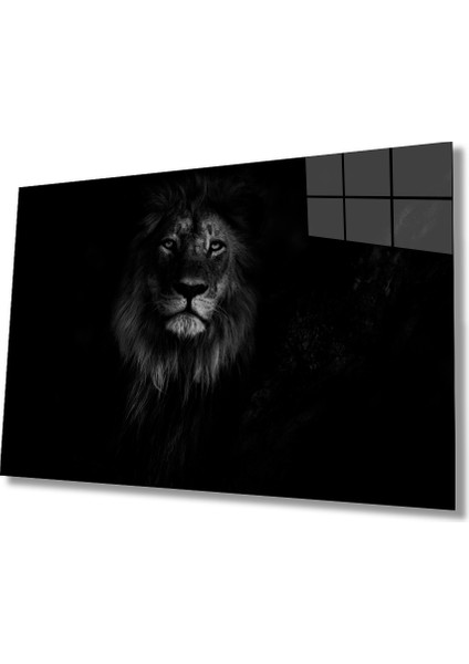Aslan Hayvan Cam Tablo