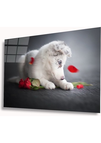 Köpek ve Gül Cam Tablo