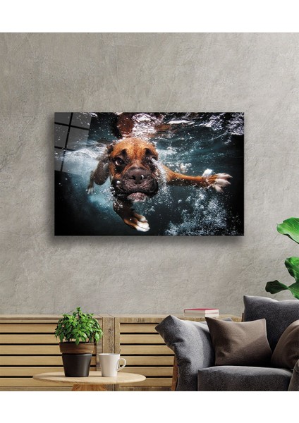 Yüzen Köpek Cam Tablo