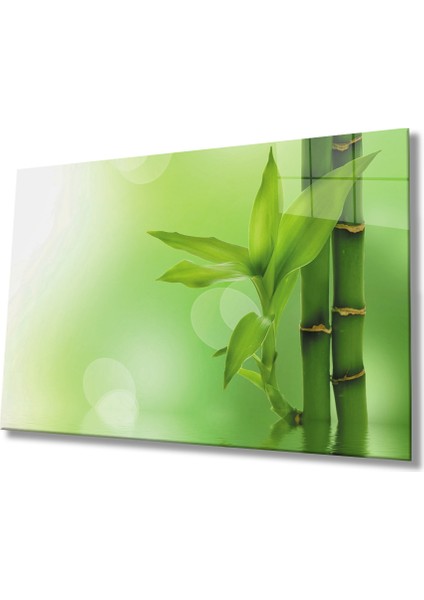 Yeşil Bitki Cam Tablo Green Plant