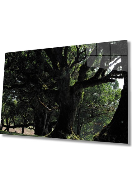 Yeşil Ağaç Manzara Green Tree Landscape